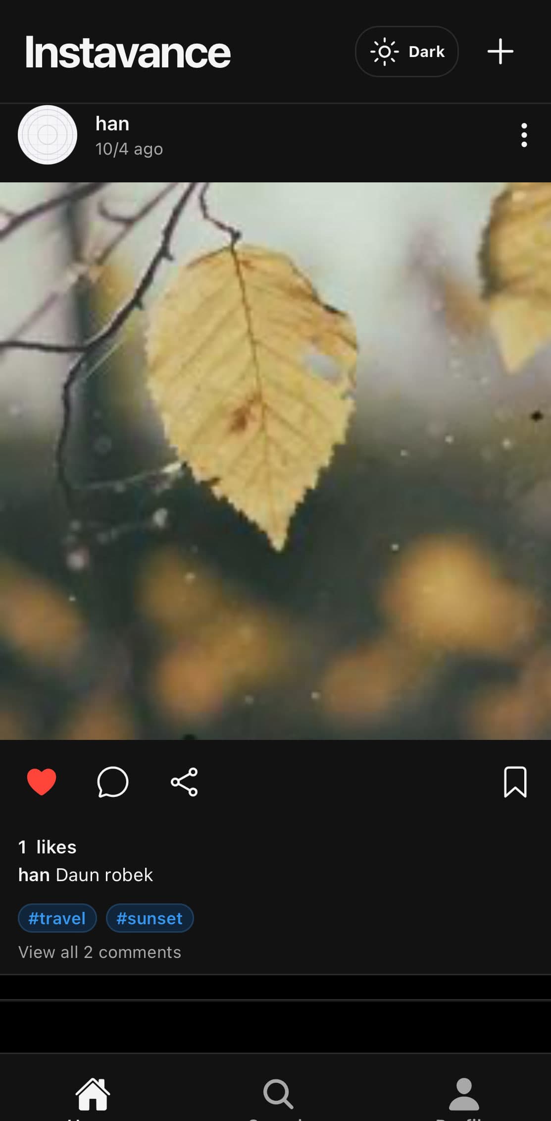 Instagram preview